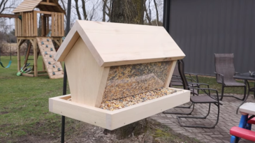 Choosing the Perfect Budgie Feeder